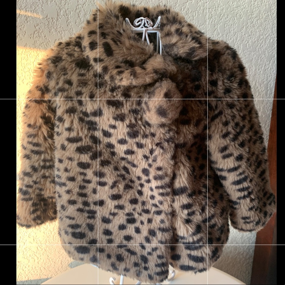 Zara Coat